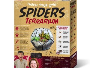 Hatch Your Own Spiders Terrarium | Million Dollar Gift Ideas
