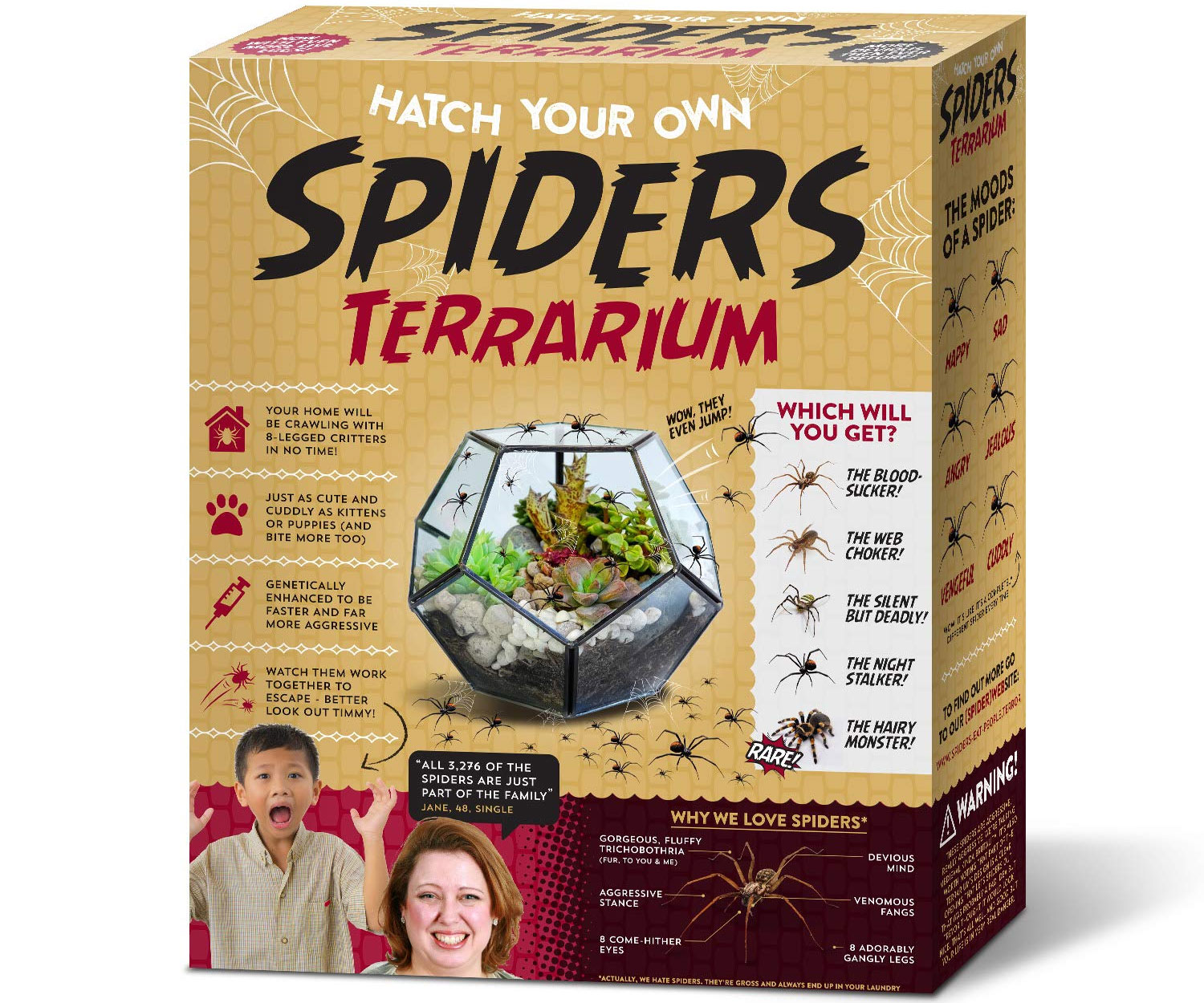 Hatch Your Own Spiders Terrarium
