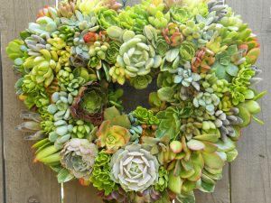 Heart Shaped Succulent Wreath | Million Dollar Gift Ideas