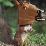 Horse Head Squirrel Feeder 1