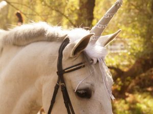 Horse Unicorn Costume | Million Dollar Gift Ideas