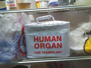 Human Organ Transport Lunch Bag 1