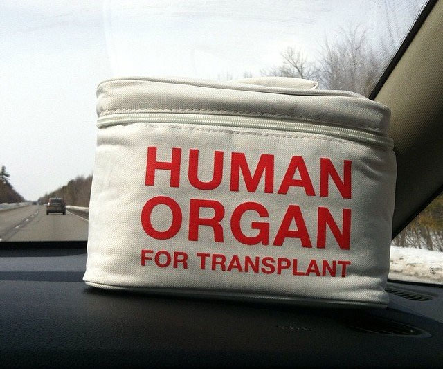 Human Organ Transport Lunch Bag 2
