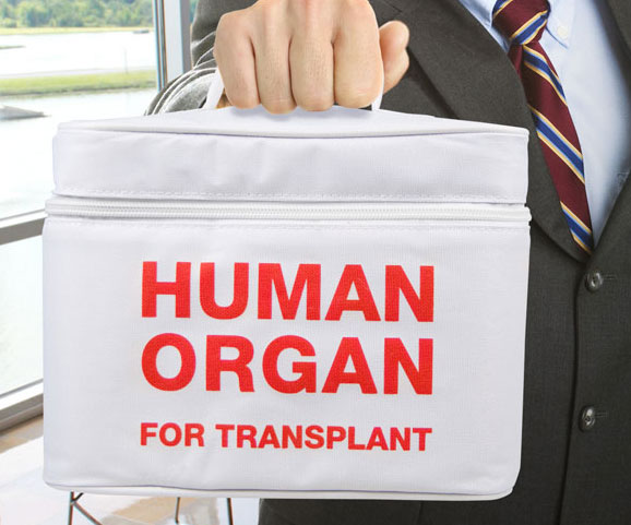 Human Organ Transport Lunch Bag