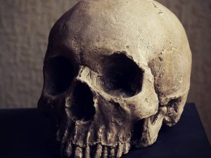 Human Skull Replica | Million Dollar Gift Ideas