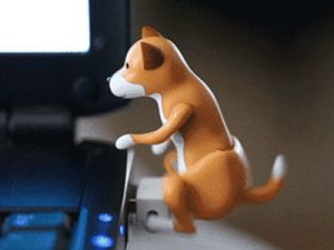 Humping USB Dog | Million Dollar Gift Ideas