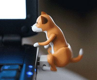 Humping USB Dog