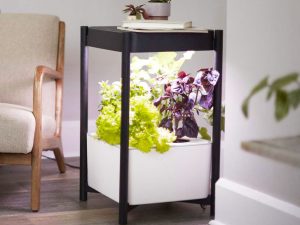 Indoor Hydroponic Garden Side Table | Million Dollar Gift Ideas
