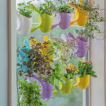 Indoor Suctioned Window/Wall Planter