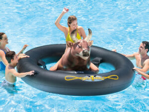 Inflatable Ride On Bull Pool Toy | Million Dollar Gift Ideas