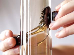 Interactive Ferrofluid Lava Lamp | Million Dollar Gift Ideas