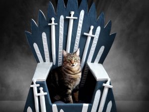 Iron Throne Cat Bed | Million Dollar Gift Ideas