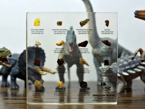 Jurassic Block Dinosaur Fossil Collection | Million Dollar Gift Ideas