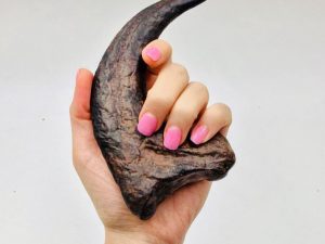 Jurassic Park Raptor Claw Replica | Million Dollar Gift Ideas