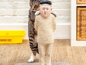 Kim Jong Un Cat Scratch Post | Million Dollar Gift Ideas