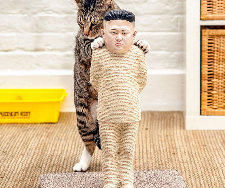 Kim Jong Un Cat Scratch Post