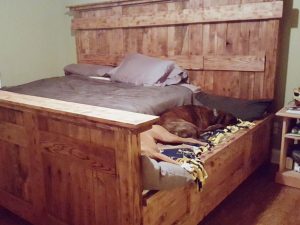 King Bed With Doggy Insert | Million Dollar Gift Ideas