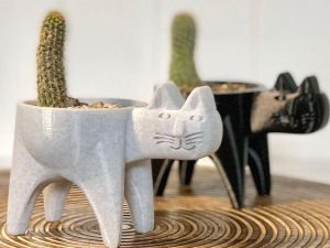 Kitten Cactus Planters | Million Dollar Gift Ideas