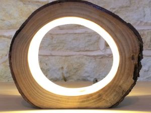LED Log Light | Million Dollar Gift Ideas