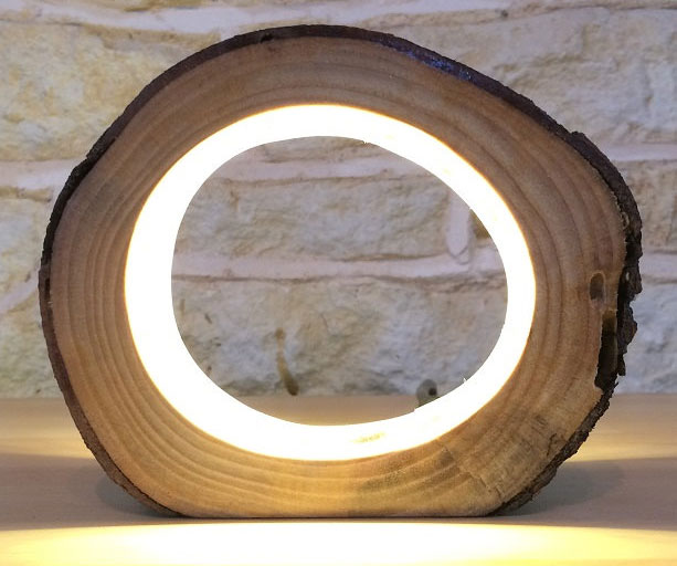 LED Log Light