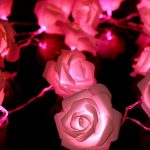 LED Rose String Lights