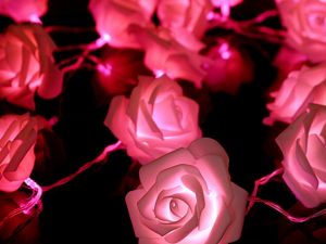 LED Rose String Lights | Million Dollar Gift Ideas