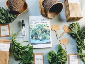 Leafy Greens Seed Starting Kit | Million Dollar Gift Ideas