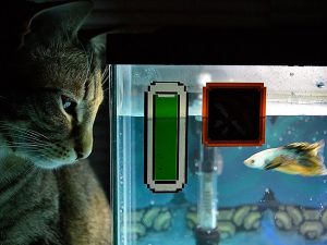 Legend Of Zelda Themed Aquarium 1