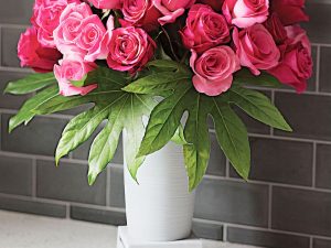Life Extending Flower Vase | Million Dollar Gift Ideas