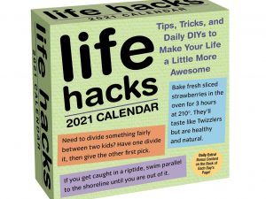 Life Hacks 2021 Day-to-Day Calendar | Million Dollar Gift Ideas