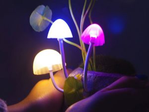 Light Up Mushroom Lamps | Million Dollar Gift Ideas