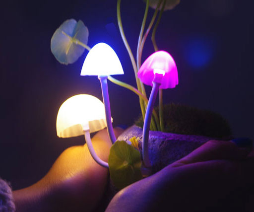 Light Up Mushroom Lamps