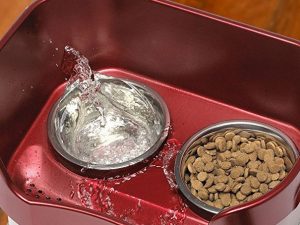 Mess Proof Elevated Pet Bowls 1