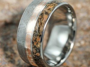 Meteorite And Dinosaur Bone Ring | Million Dollar Gift Ideas