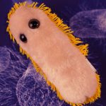Microbe Plushies 1