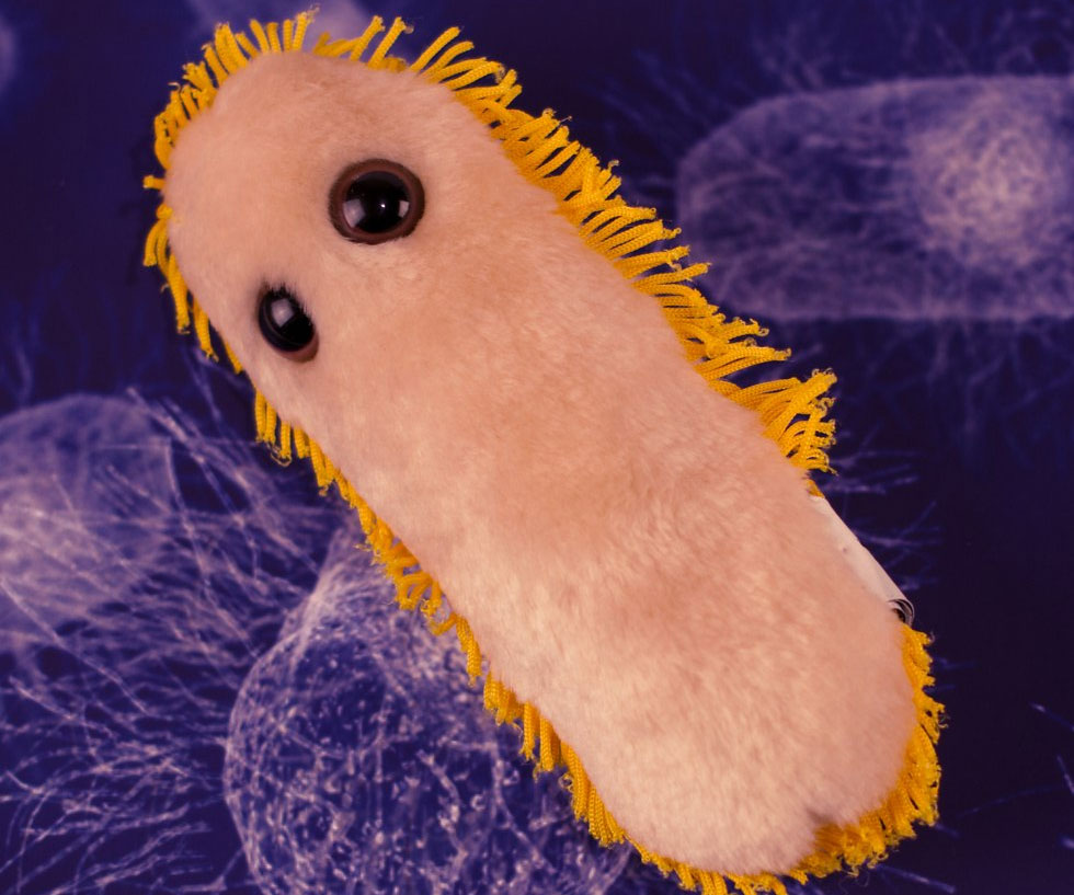 Microbe Plushies 1