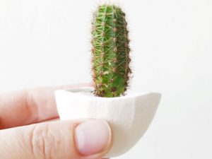 Mini Cactus Planters 1