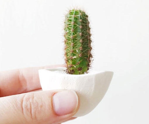 Mini Cactus Planters 1