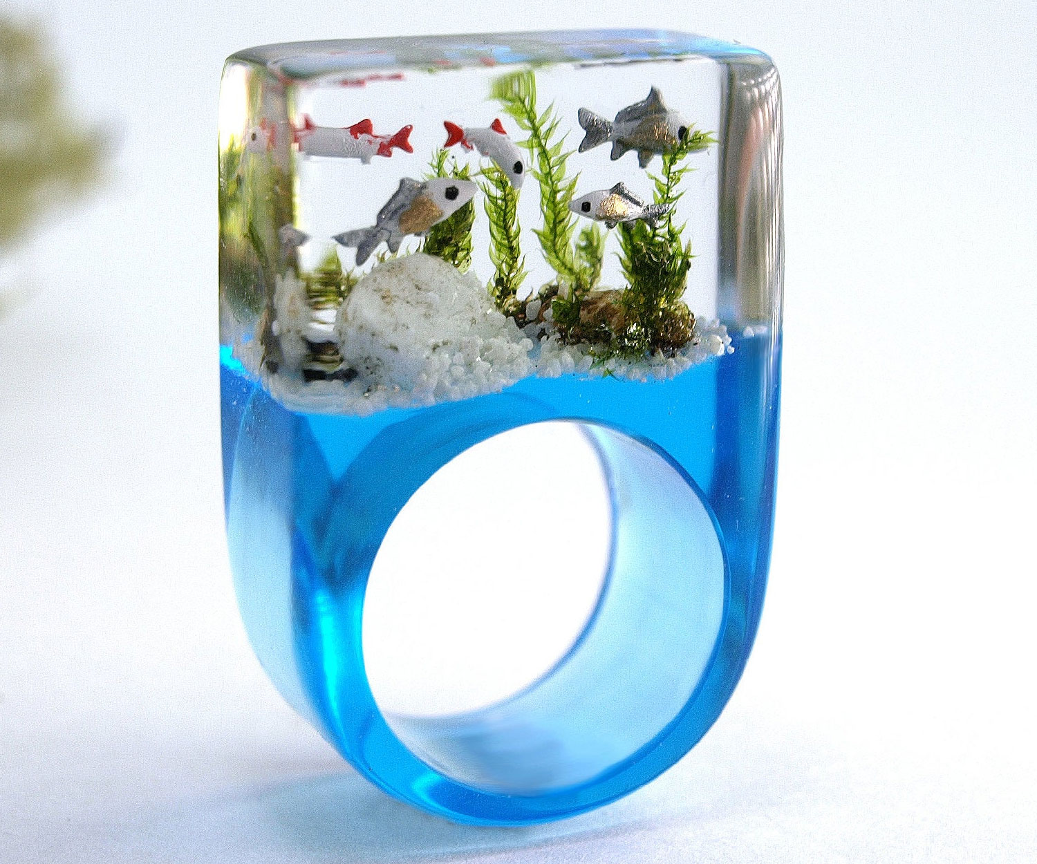 Miniature Aquarium Ring 2