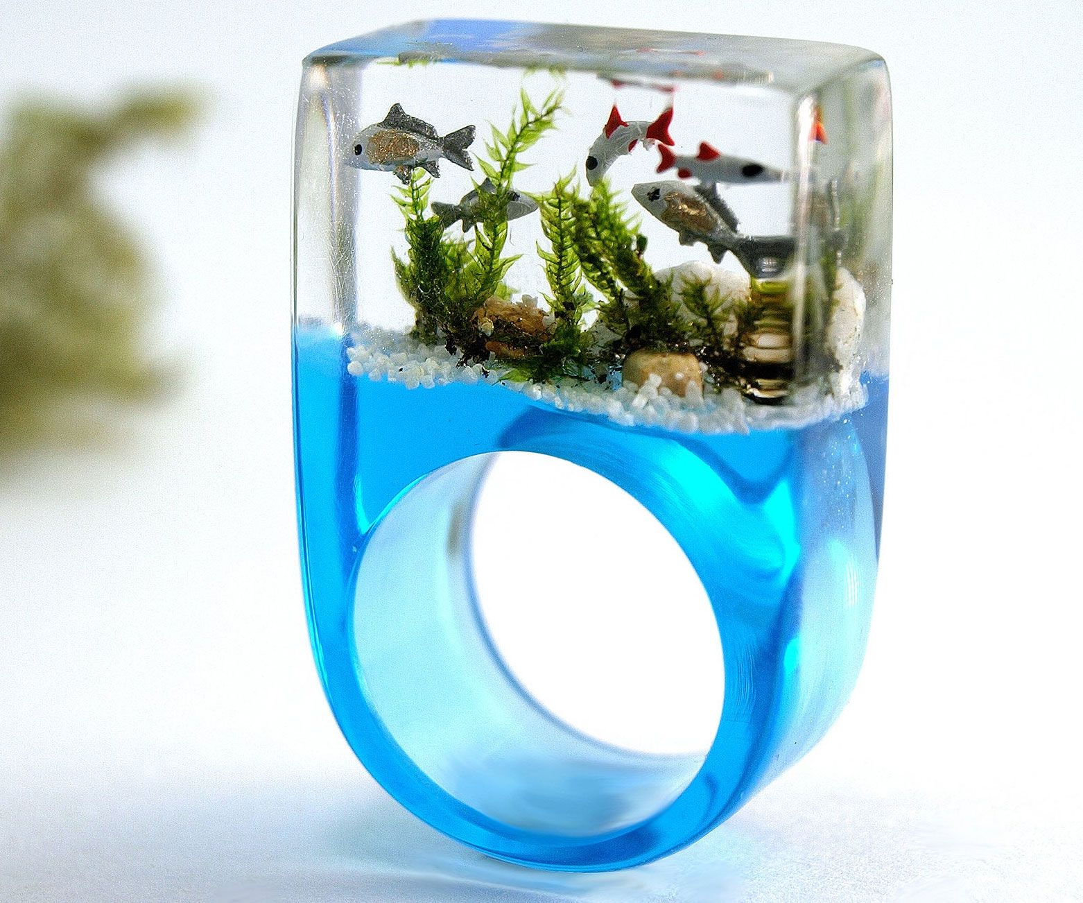 Miniature Aquarium Ring