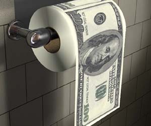 Money Toilet Paper Roll