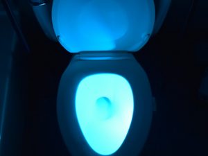 Motion Activated Toilet Night Light | Million Dollar Gift Ideas