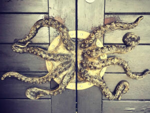 Octopus Door Handles | Million Dollar Gift Ideas