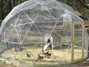 Outdoor Geodesic Dome | Million Dollar Gift Ideas