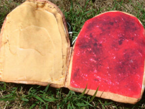 Peanut Butter And Jelly Wallet 1