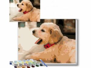 Personalized Pet Paint By Numbers Kit | Million Dollar Gift Ideas