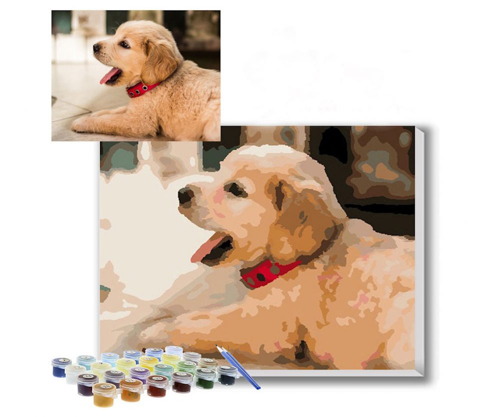 Personalized Pet Paint By Numbers Kit