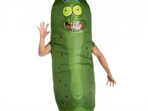 Pickle Rick Inflatable Costume | Million Dollar Gift Ideas