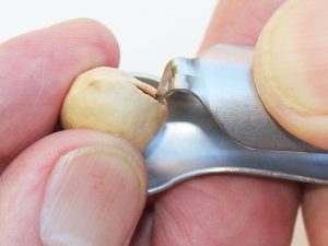 Pistachio Nut Opener | Million Dollar Gift Ideas