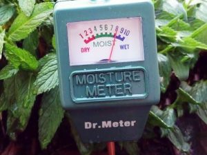 Plantgarden Soil Sensor Meter 1